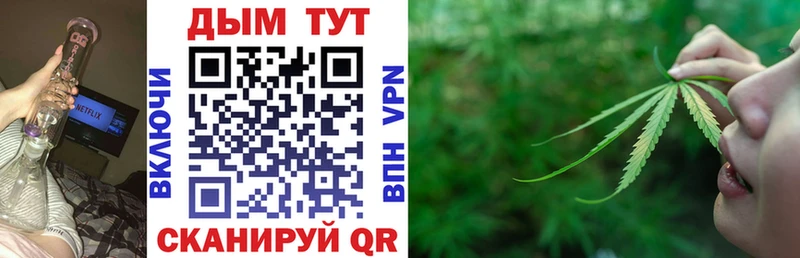 Канабис план  OMG   Петров Вал  купить наркотики цена 